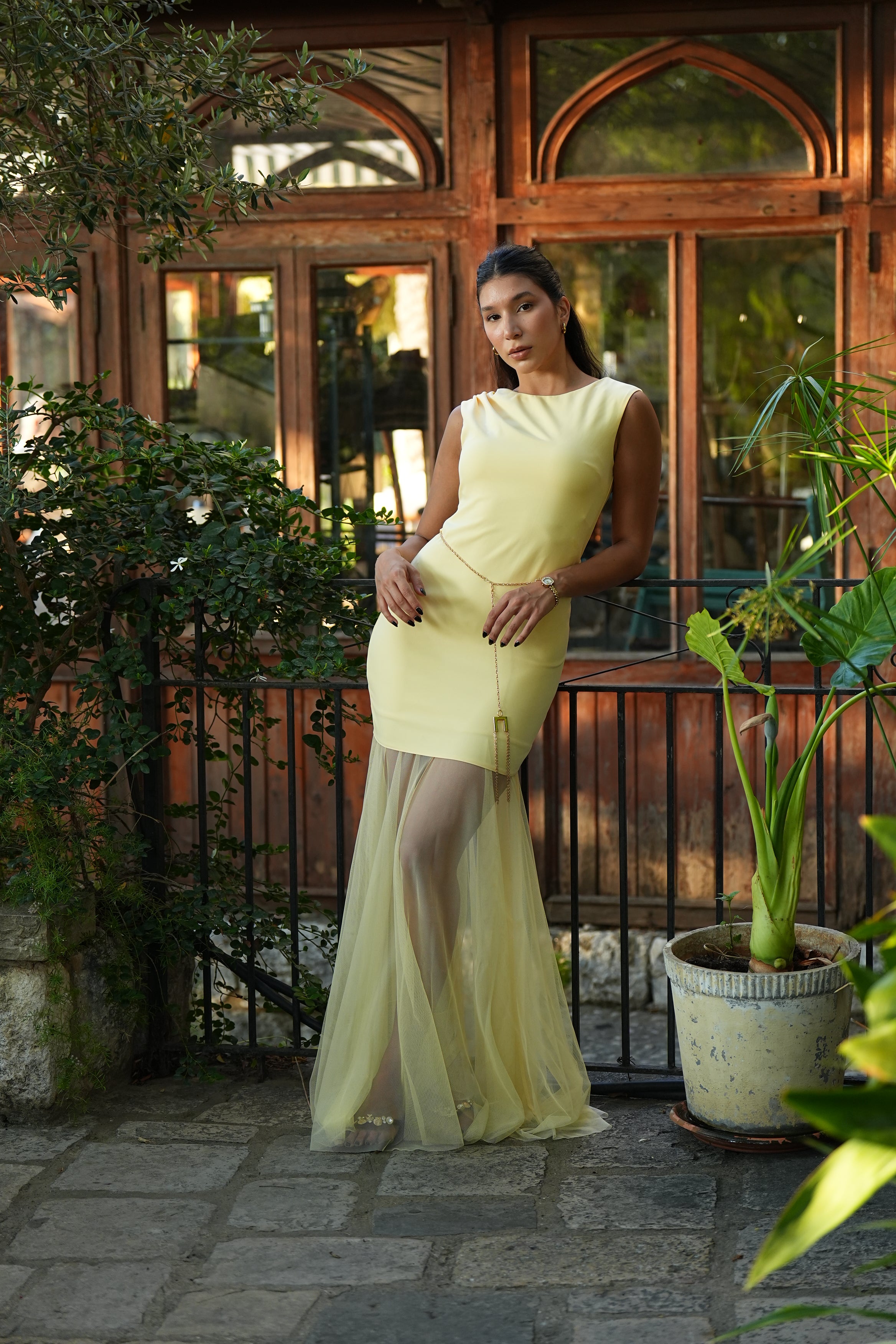 Sheer Illusion Dress